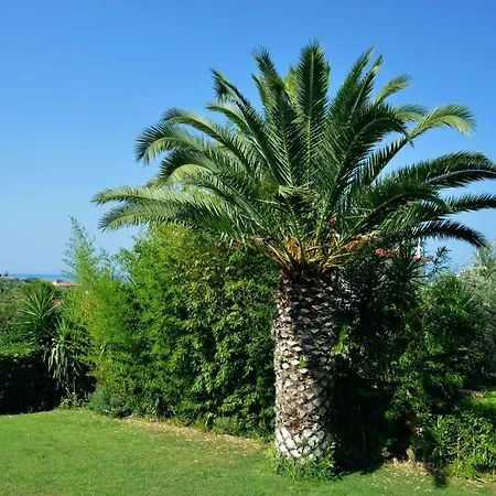 Villa Cozy Small Smart With Private Pool Mikri Mantineia